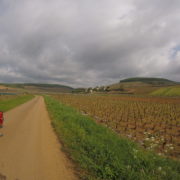 Vignobles de Bourgogne