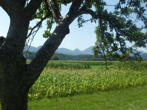 slovenie1